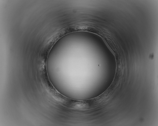 X0000110930555200906251336