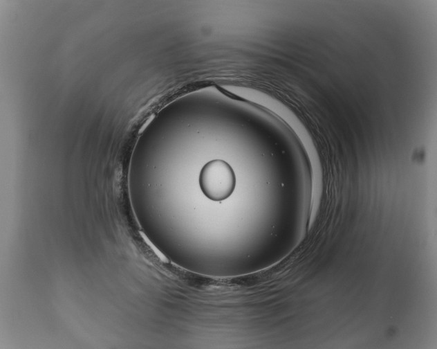 X0000110930556200906251336