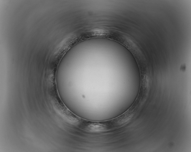 X0000110930557200906251336