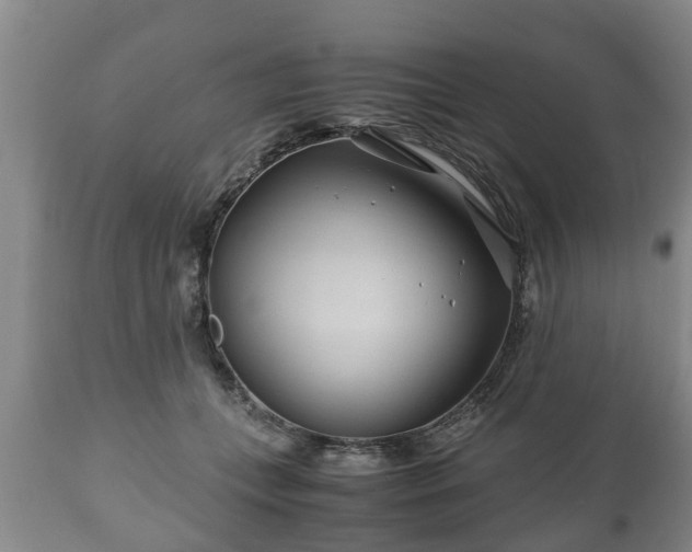 X0000110930559200906251336