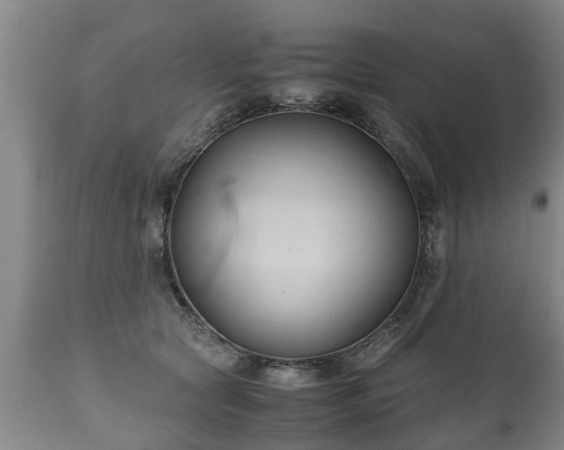 X0000110930561200906251336