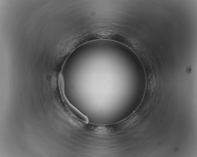 X0000110930562200906251336