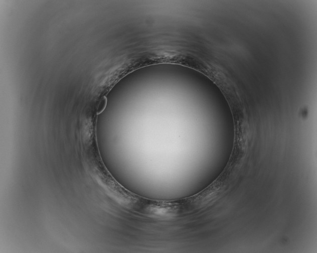 X0000110930563200906251336