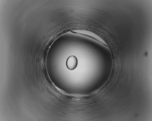 X0000110930564200906251336