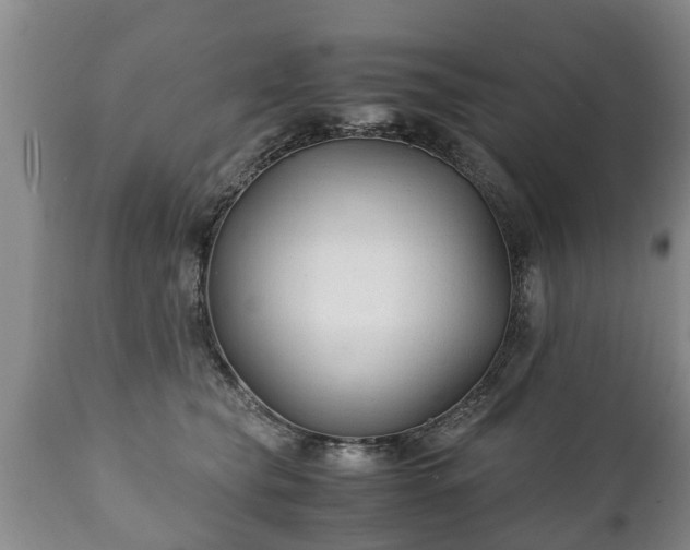 X0000110930565200906251336