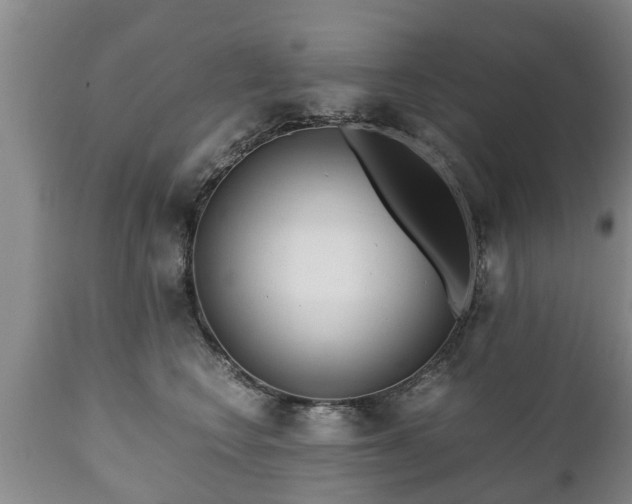 X0000110930566200906251336