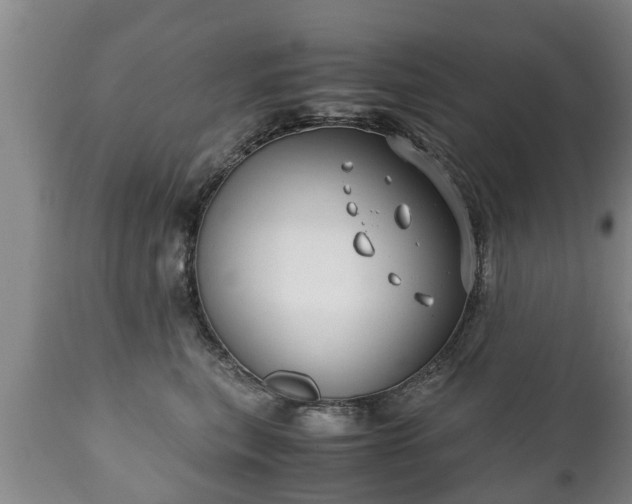 X0000110930567200906251336