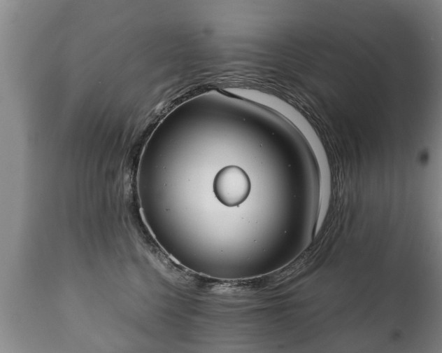X0000110930568200906251336