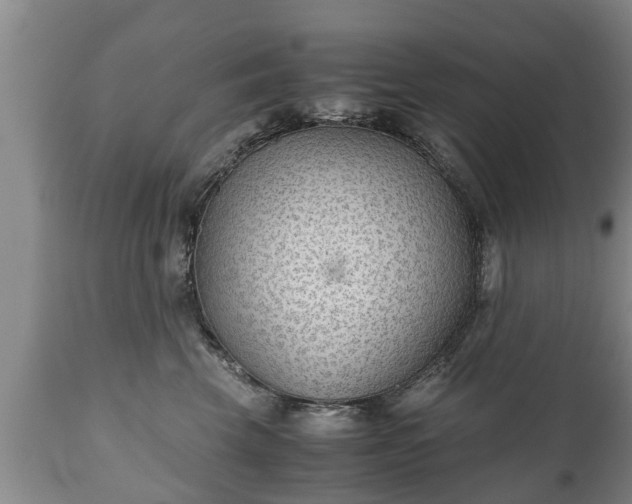 X0000110930569200906251336