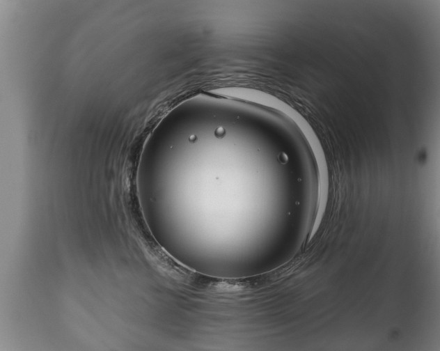 X0000110930570200906251336