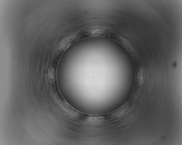 X0000110930571200906251336