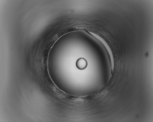 X0000110930572200906251336
