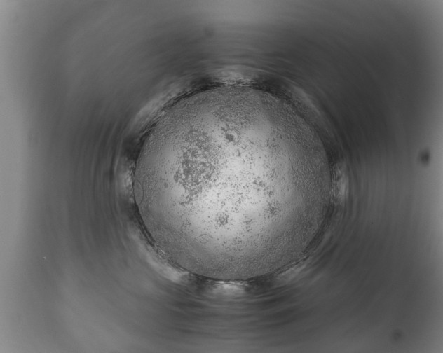 X0000110930573200906251336