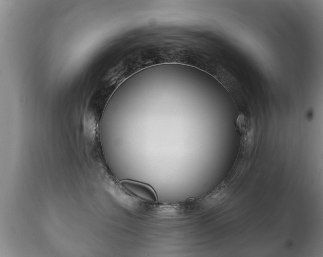 X0000110930574200906251336