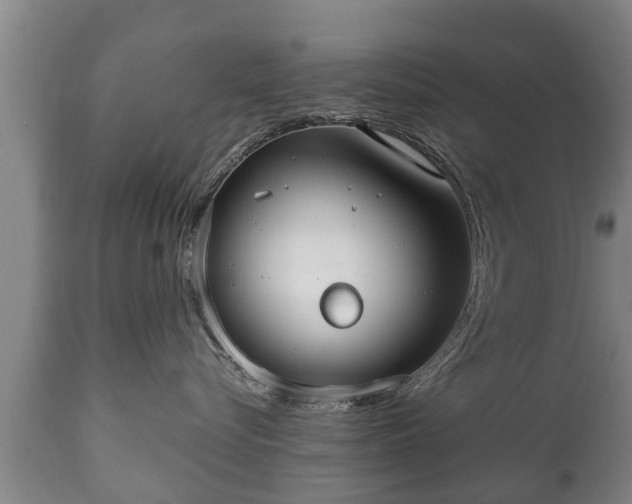 X0000110930576200906251336