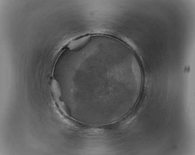 X0000110930577200906251336