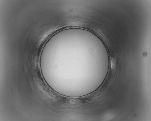 X0000110930579200906251336