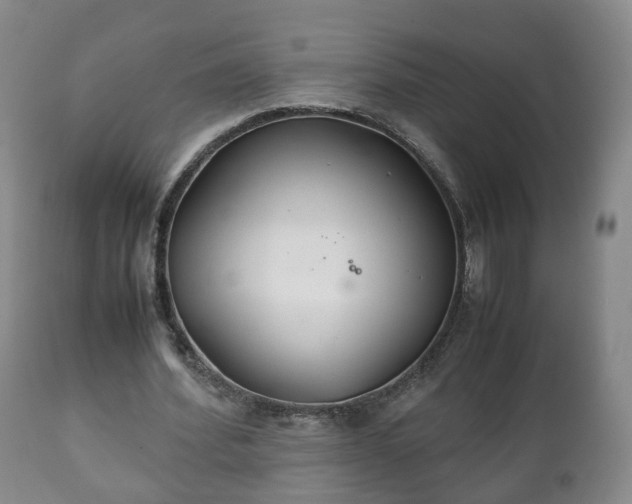 X0000110930580200906251336