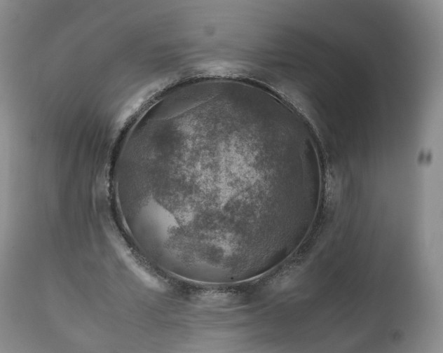 X0000110930581200906251336