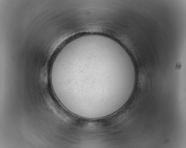 X0000110930584200906251336