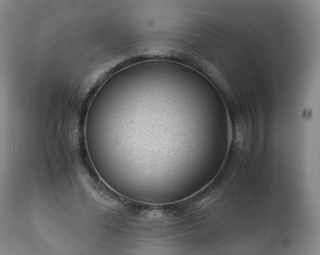 X0000110930588200906251336