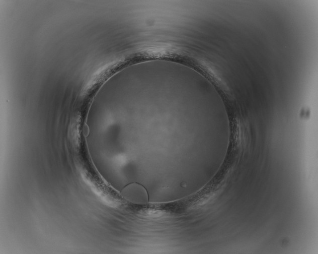X0000110930590200906251335