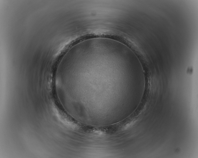 X0000110930592200906251335