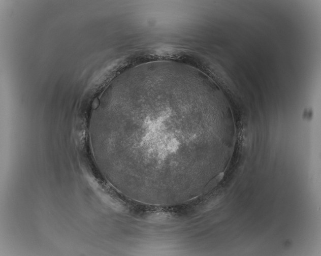 X0000110930593200906251335