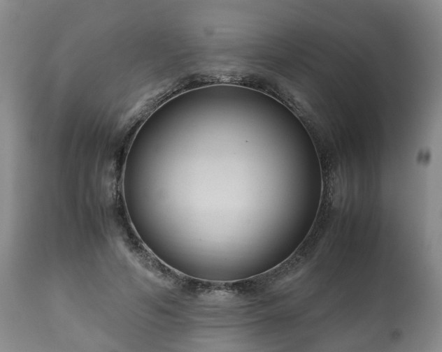 X0000110930594200906251335