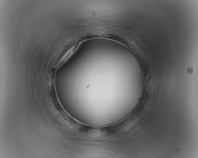 X0000110930597200906251335
