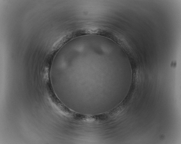 X0000110930598200906251335