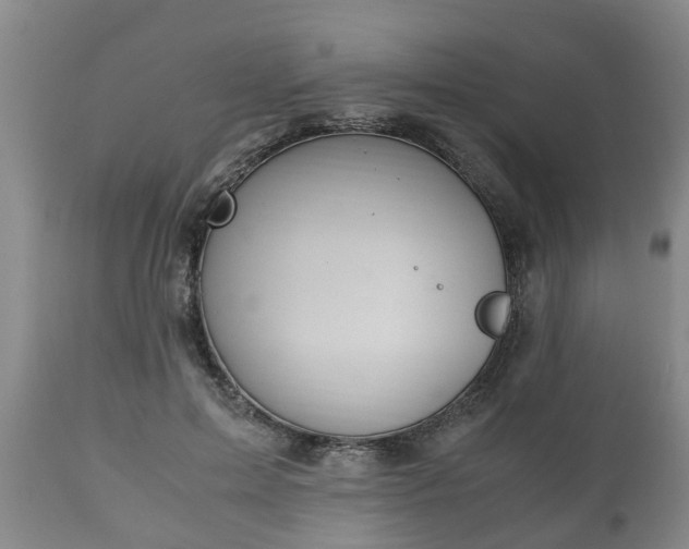 X0000110930599200906251335