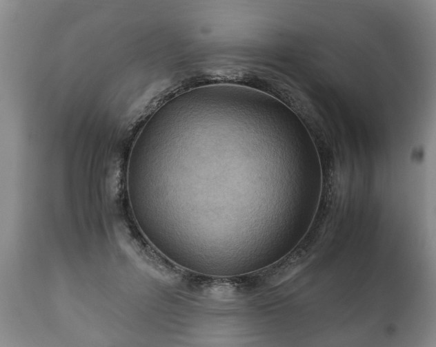X0000110930600200906251335