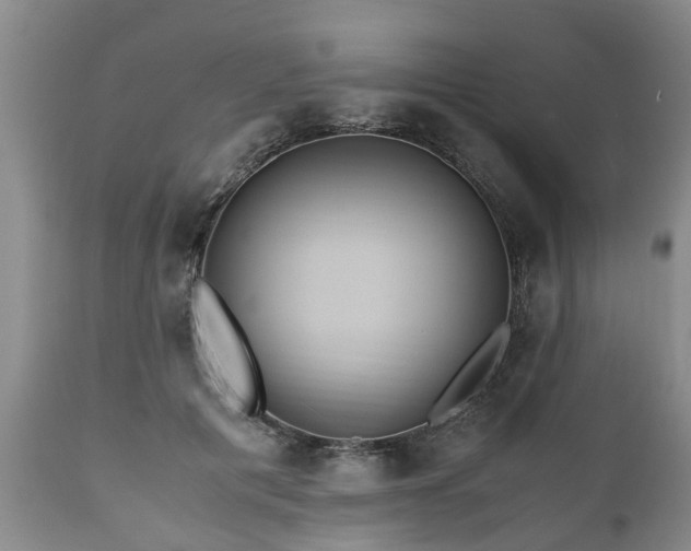 X0000110930601200906251335