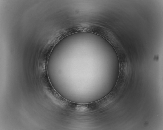 X0000110930602200906251335