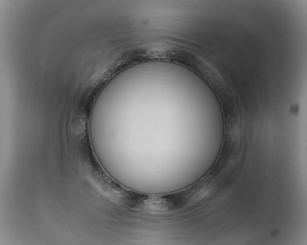 X0000110930603200906251335