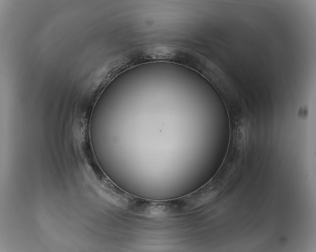 X0000110930604200906251335