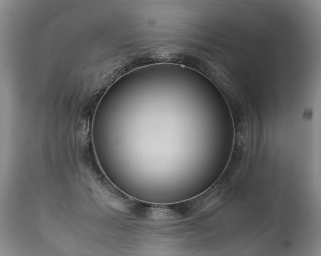 X0000110930605200906251335