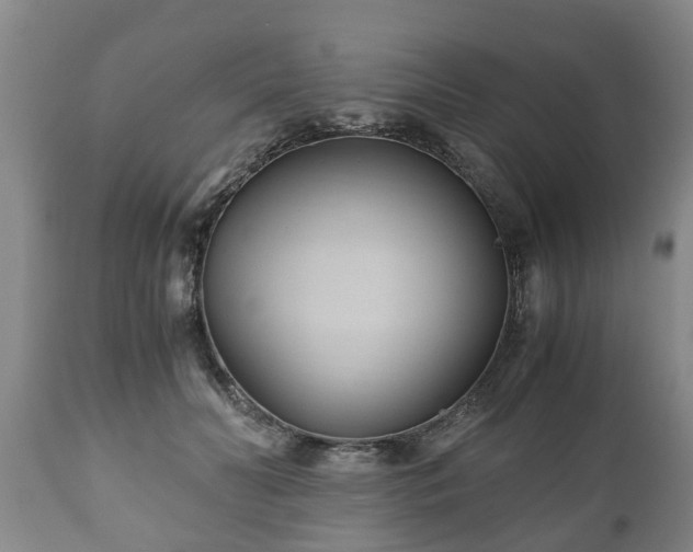 X0000110930606200906251335