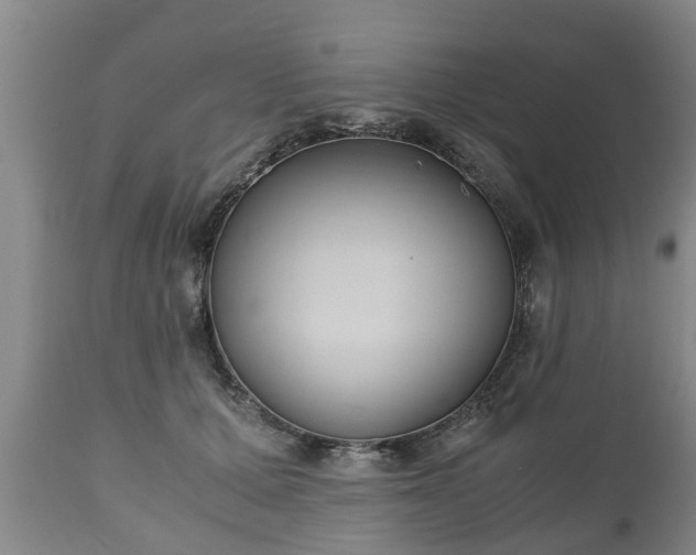 X0000110930607200906251335