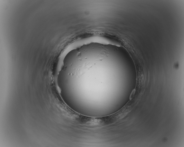 X0000110930609200906251335