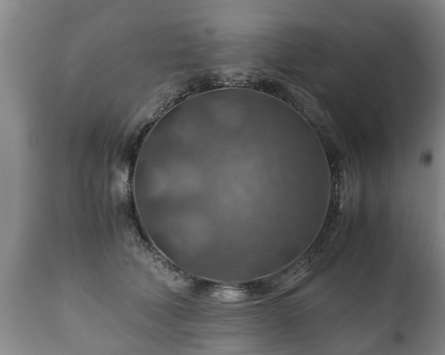 X0000110930610200906251335