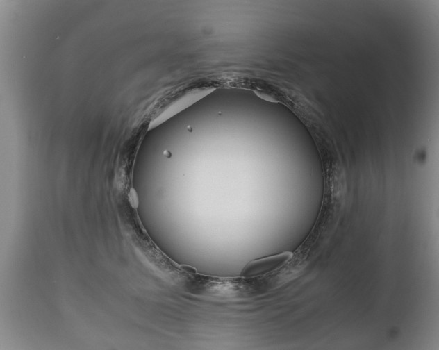 X0000110930611200906251335