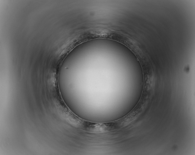 X0000110930612200906251335