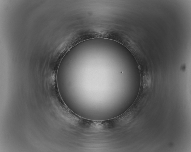 X0000110930613200906251335
