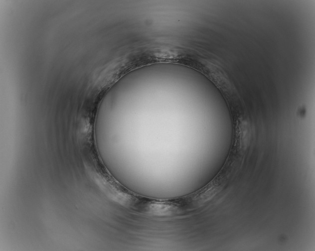 X0000110930614200906251335