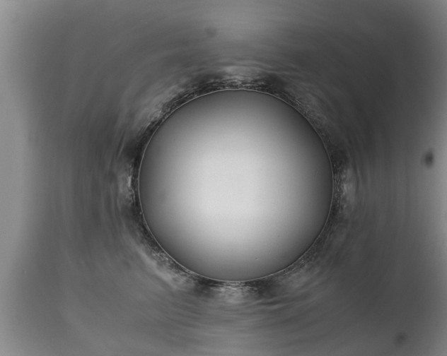 X0000110930615200906251335