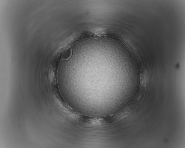 X0000110930618200906251335