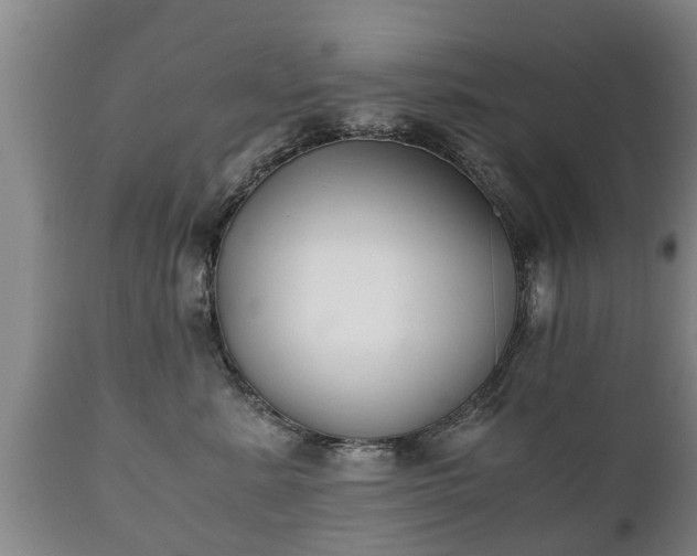 X0000110930619200906251335