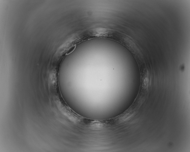 X0000110930620200906251335
